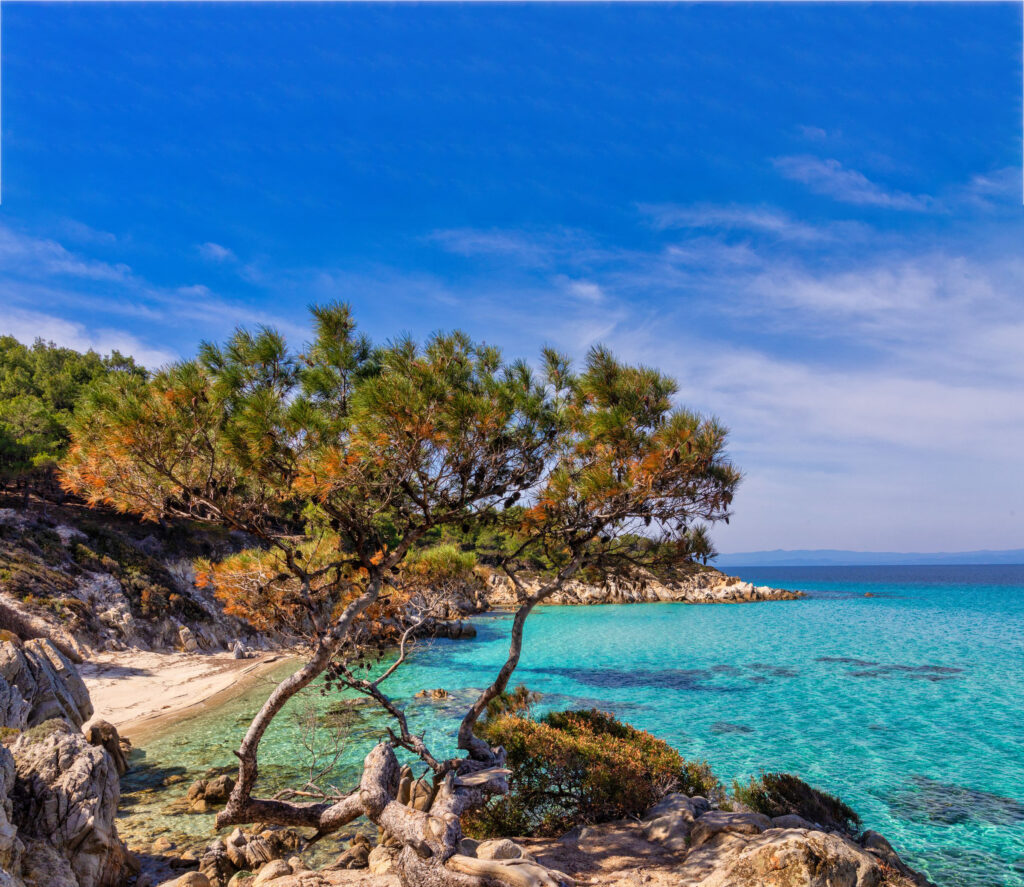 Καβουρότρυπες kavourotripes (10) 1 Καβουρότρυπες kavourotripes (10) 1